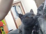 Sevimli Oyuncu Kızım
