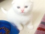 2 Mart Doğumlu Oğullarımız