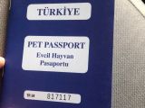 Parazitleri Yapılmış Karneli
