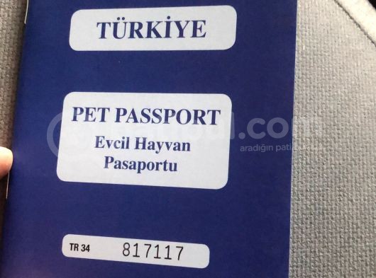Parazitleri Yapılmış Karneli görsel