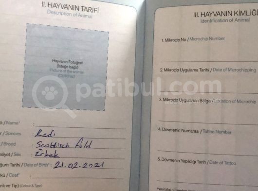Parazitleri Yapılmış Karneli görsel