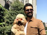 Wc Eğitimli Standart Poodle Barney