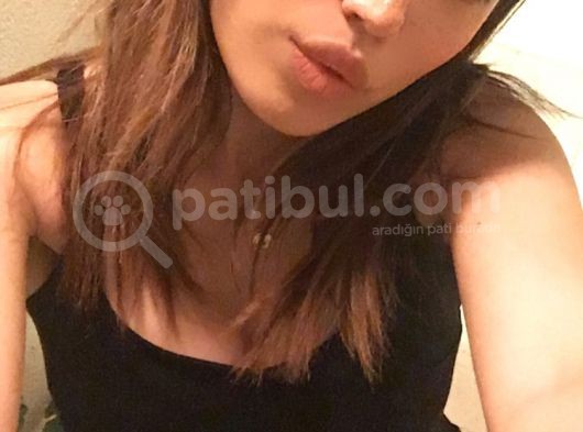 Maltipoo Bebeklerimiz görsel