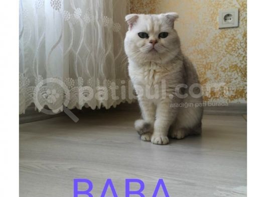 Bilgi Özelden