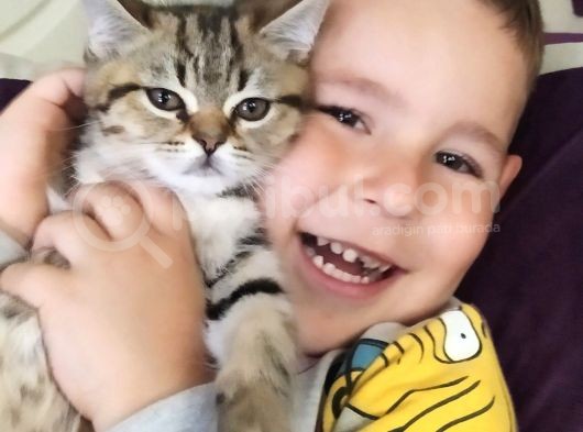 Detaylar Görüşülür