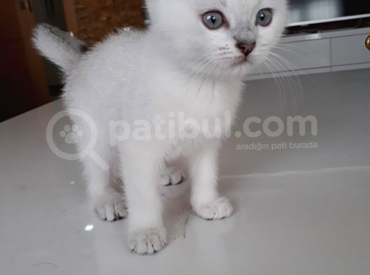 2 Aylık Oğlum
