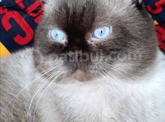 Sonuncumuz görsel