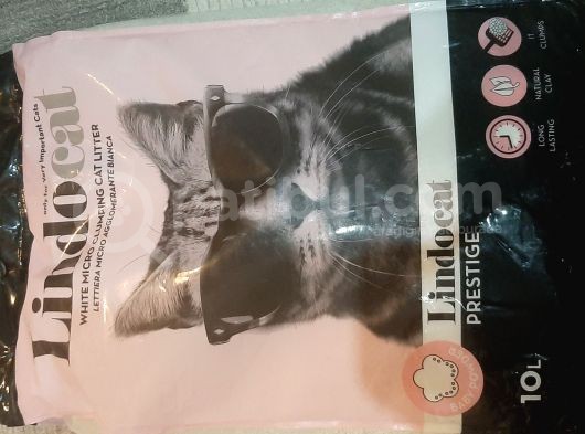 4.5 Aylık Schottis görsel
