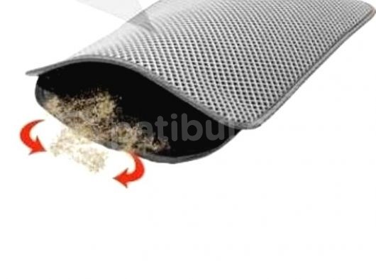 4.5 Aylık Schottis görsel