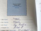 Tosi İsimli Toy Pooodle Yavrumuz