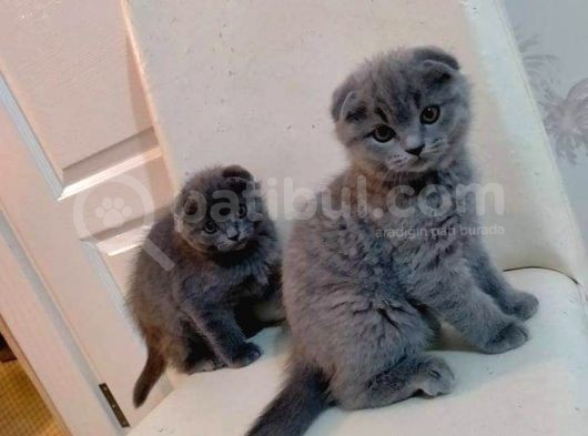 Güzel Annemiz Bebeklerimiz görsel