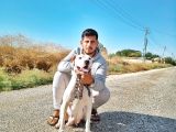A Kali̇te Dogo Argenti̇no Yavruları