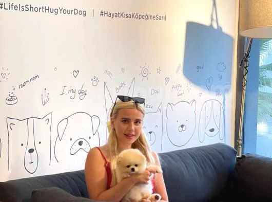 Ayı Surat Pomeranian Boo Yavrularımız