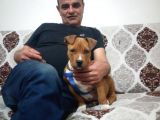 3.5 Aylık Staff Erkek