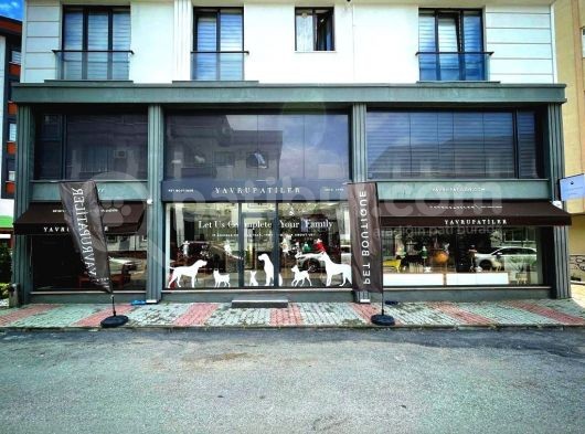 Yavru Patiler Farkı İle Pomeranian Boo Yavrularımız görsel