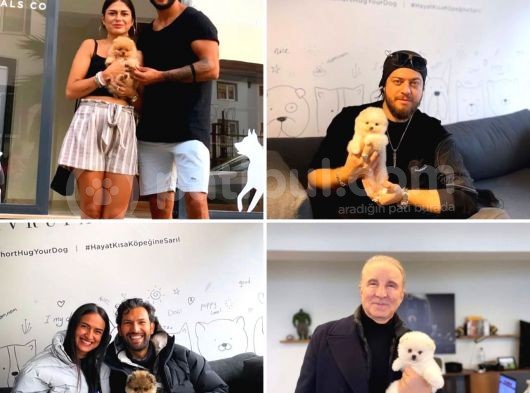 Yavru Patiler Farkı İle Pomeranian Boo Yavrularımız görsel