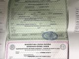 Şecereli̇ Orange Ayi Surat Kalin Pati̇li̇ Gülen Surat Oğlumuz