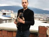 Kusursuz Malinois Yavrularimiz