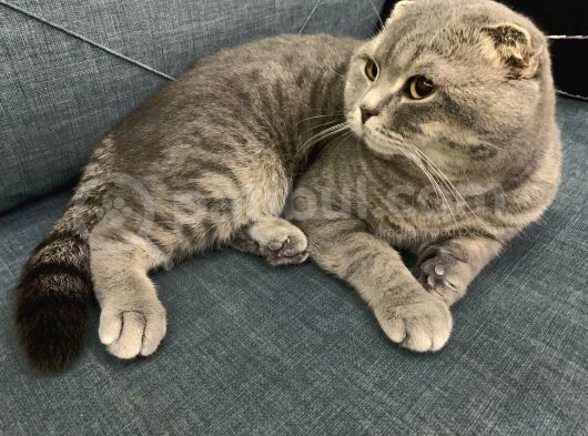 1 Yaşında Erkek Bebeğimiz görsel
