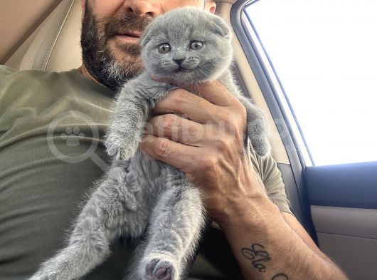 Babalık Hakkımız Çok Tatlı görsel