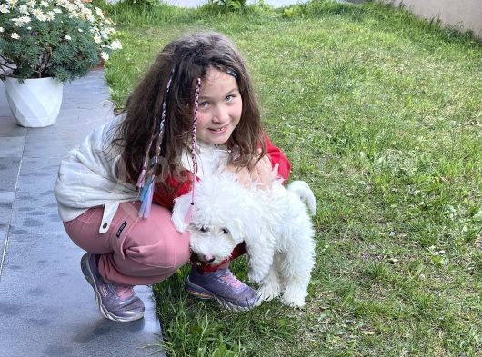 5 Aylık Tüm Aşıları Tam,Uysal Tüy Dökmeyen Maltipoo görsel