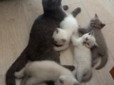 Yavrularımız Yeni Yuvalarına Gitmeye Hazır