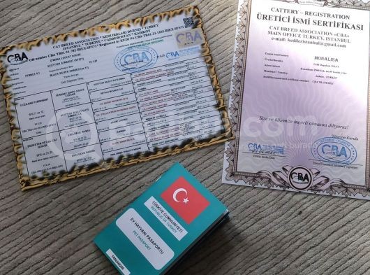 Silver Ns11 Full Secereli Dişi Uygun görsel