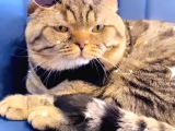 Pablo