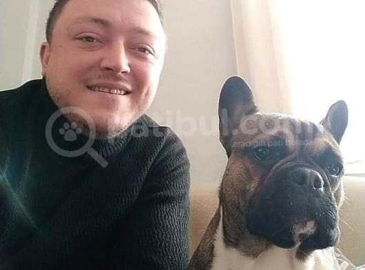 Bobby Erkek 2 Yaşında