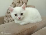 Güzel Kızıma Güzel Yuva