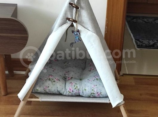 Dişi 5 Aylık Uyumlu Akıllı Oyuncu Kedimiz görsel