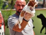 Cavalier King Charles Yavrulari