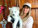 Husky Si̇bi̇rya Kurdu Bebekleri̇mi̇z