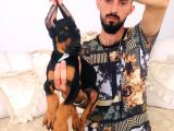 Show Kalite Doberman Yavrular