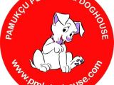 Cavali̇er Ki̇ng Charles Pamukçu Doghouseda