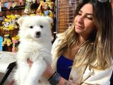 Kar Topu Muhteşem Samoyed Bebekler