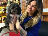 Silver Ve Black Tan Toy Poodle Bebekleri̇mi̇z