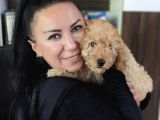 %100 IRK GARANTİLİ TOY POODLE YAVRULARIMIZ