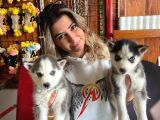 Kari̇zmati̇k Asi̇l Husky Si̇bi̇rya Kurdu Bebekler