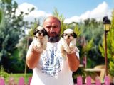 SHİH TZU YAVRUSU