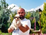 Shi̇h Tzu Yavrusu