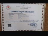 Kangal Yavrusu
