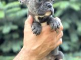 Blue Sevdiğimiz Doğrudur