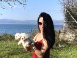 Maltese Yavrularım Sağlık Ve Irk Garantilidir