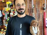 A SCR MUHTEŞEM TOY POODLE  YAVRULARIMIZ