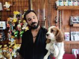 MUHTEŞEM CAVALİER KİNG CHARLES YAVRULAR