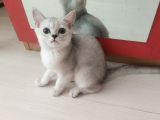 Prenses Kızımız