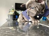 Blue Sevdiğimiz Doğrudur