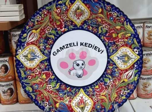 Doberman Yavrularımız Evinize Neşe Katacaktır görsel