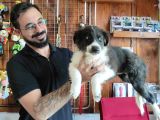 Dunyani̇n En Zeki̇ Irki Border Collie
